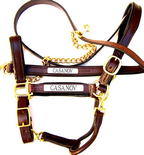 custom leather halter with nameplate.